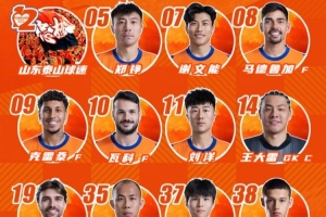 山东泰山今日阵容，加油 ​​​